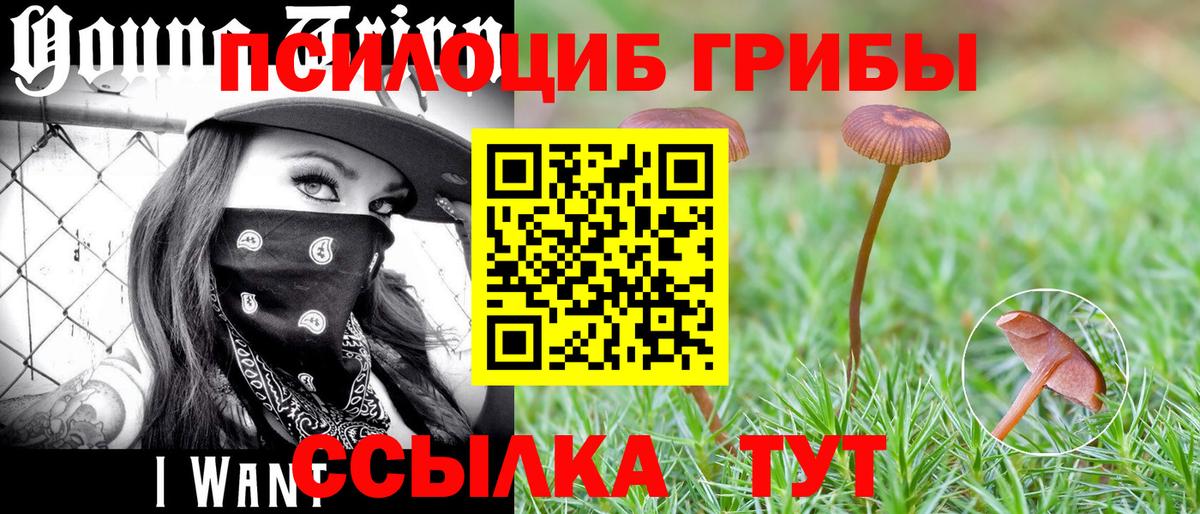 Псилоцибиновые грибы мицелий  Вход с VPN  Псилоцибиновые грибы ЛСД  Заринск 