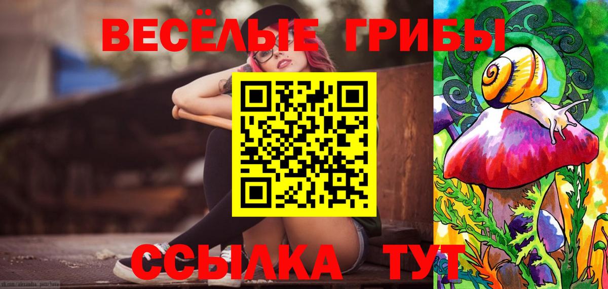 Псилоцибиновые грибы прущие грибы Заринск